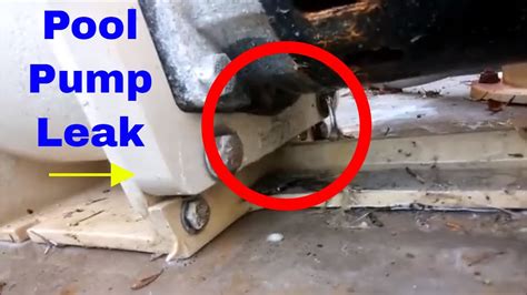 How to Stop A Pool Pump From Leaking